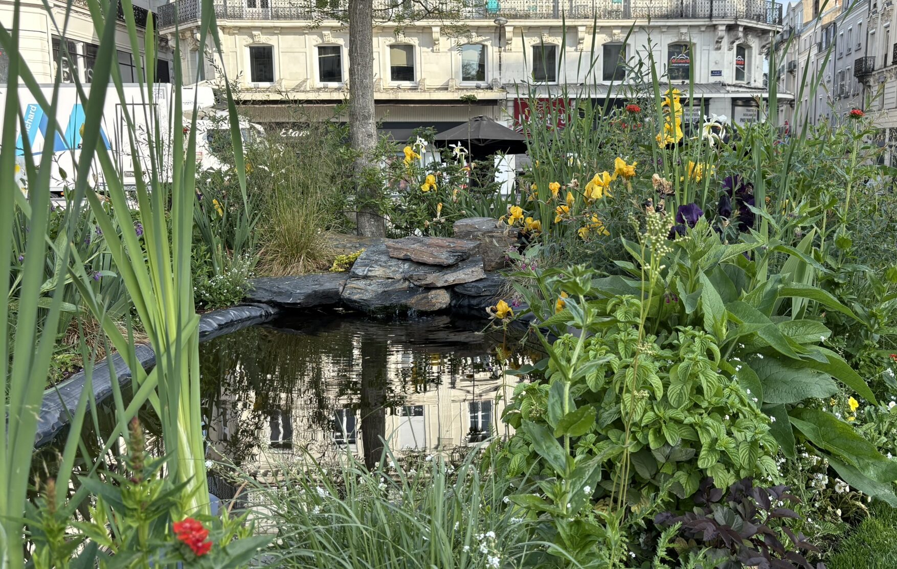Photo représentant un espace vert aménagé avec une petite marre d'eau et des végétaux devant la Marie d'Angers en France