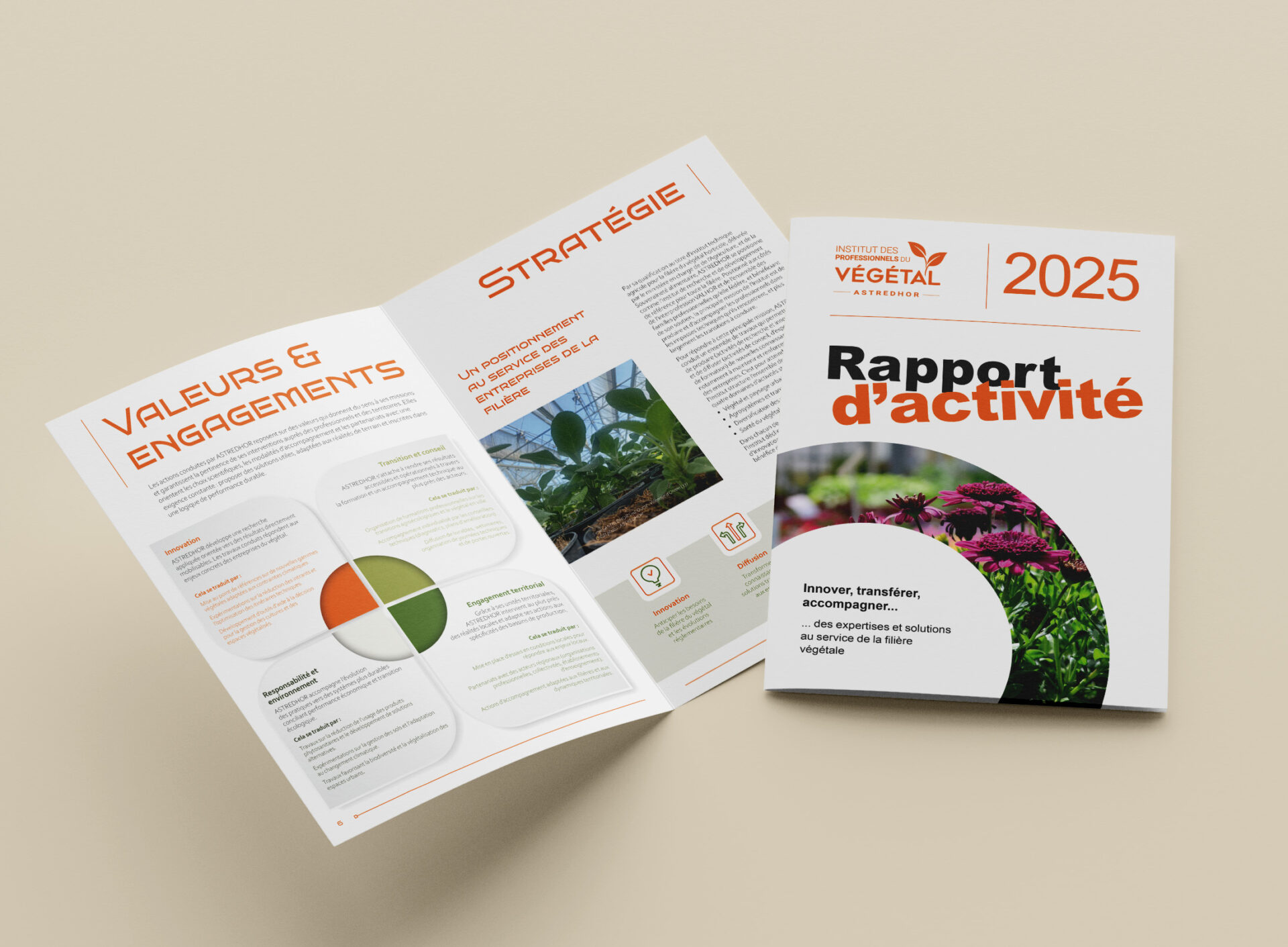 Rapport d'activité 2025