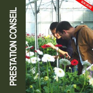 Conseils agronomiques, technico-économiques et réglementaires aux entreprises